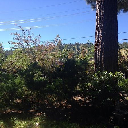 Switzerland Haus Bed And Breakfast Inn Big Bear Lake Esterno foto
