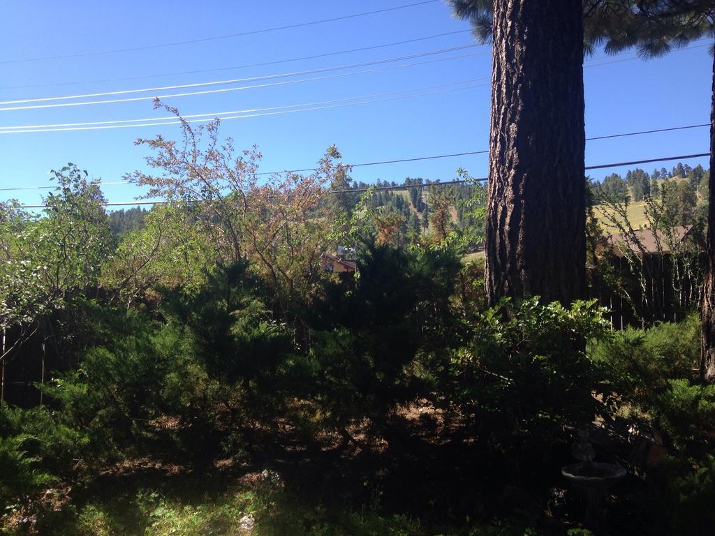Switzerland Haus Bed And Breakfast Inn Big Bear Lake Esterno foto